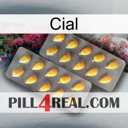 Cial cialis2